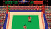 Tag Team Wrestling - NES Game