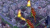 SimCity Creator - Wii Game