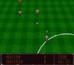 World Soccer '94: Road To Glory - SNES Game
