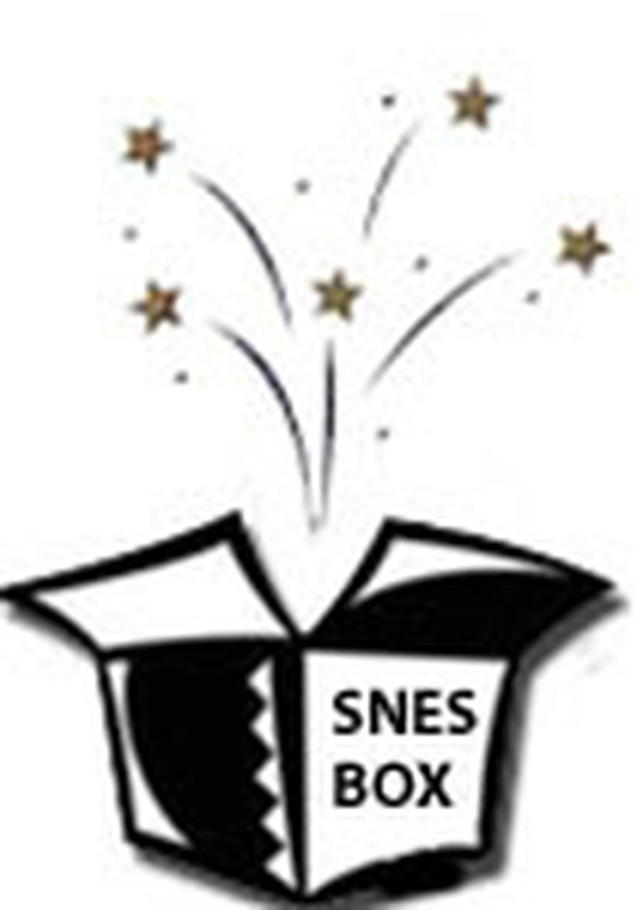 Dce Super Nintendo Snes Box For Sale | Dkoldies