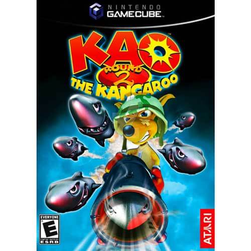 KAO Round 2 Kangaroo Nintendo GameCube Game For Sale | DKOldies