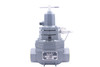 2", Back Pressure Regulator, BelGas