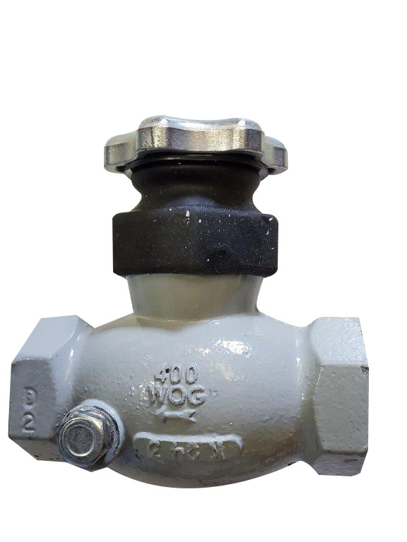3/4 Fpt Globe Valve
