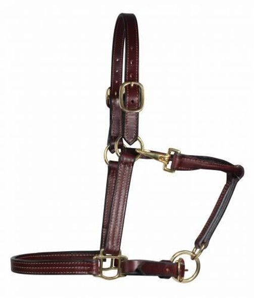 Professional's Choice Halter Leather Nose Brass Hard Cob