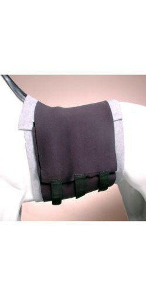 Tough1 Miniature Horse Neoprene Belly Sweat