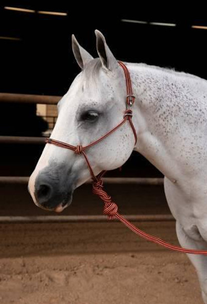 Easy On Rope Halter