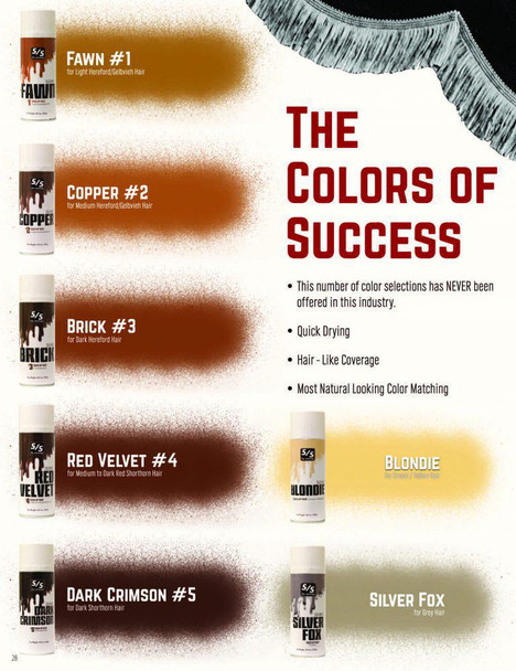 TOUCH UP PAINTS