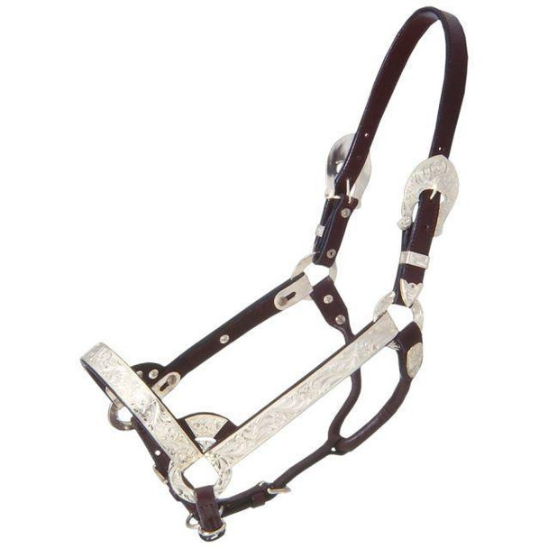 Royal King Deluxe Silver Show Halter - Yearling