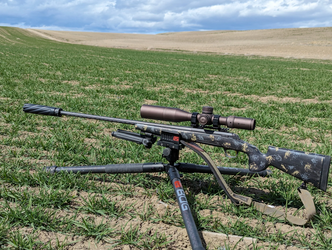 Suppressor Usage for Hunting