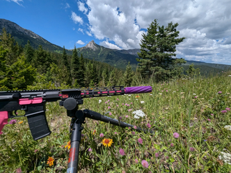 Do Suppressors Affect the Distance of a Bullet?