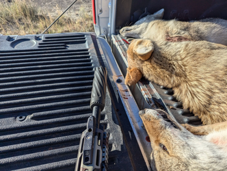 The Top Hunting Destinations in America