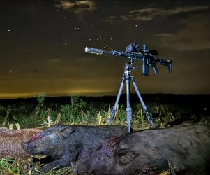 Bolt Action Rifles vs. Semi-Auto Rifles for Hunting