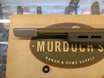 Is .22 a Good Caliber to Hunt With?