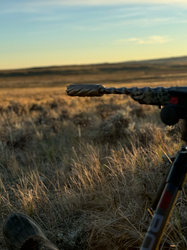 How Long Are Suppressor Wait Times After the Big Beautiful Bill Passed?