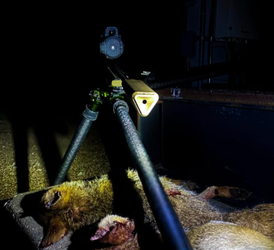Suppressor Usage for Hunting