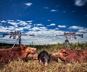 What States Have Seasonal Hunting?