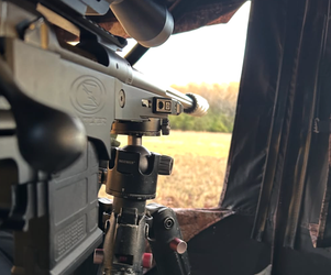 Bolt Action Rifles vs. Semi-Auto Rifles for Hunting