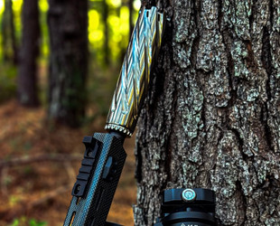 Is a Suppressor Worth Buying?