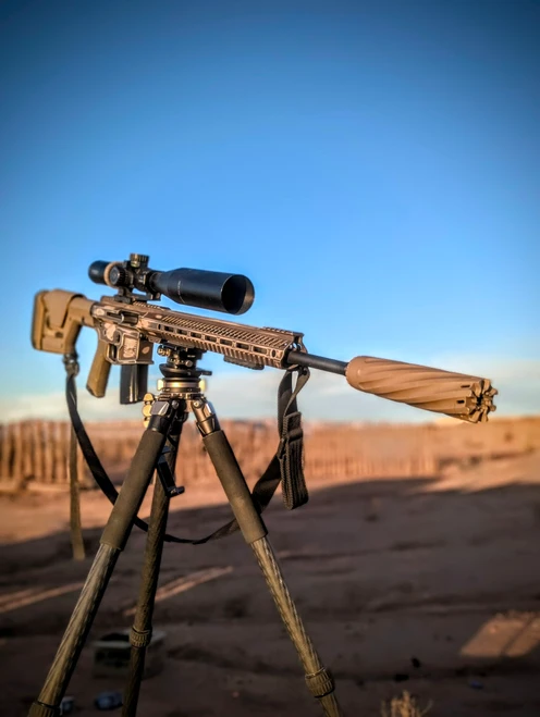 Vigilantis suppressor
