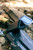 FNG DAY1 Suppressor