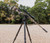 Vigilantis suppressor