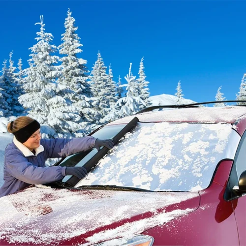 Custom Fit Windshield Snow Shade