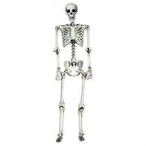 5.4 Feet Halloween Skeleton Life Size Realistic Full Body Hanging B593-AP2114