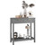 Modern Entryway Accent 2 Drawer Sofa Side Table Grey Q280-COQP2503