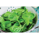 HIC Kitchen Stainless Steel Colander, 2qt