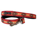 Dog Collars & Leads