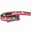  Dog Collars & Leads