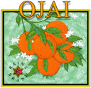 Tote - Ojai Orange Logo