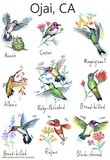 Hummingbird Flour Sack Towel 