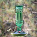 Perky-Pet Sea Green Antique Bottle Hummingbird Feeder