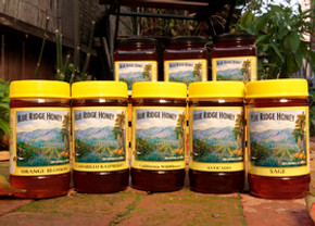 Blue Ridge Honey