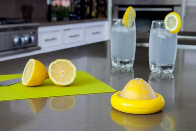 Joie Fresh Stretch Pod for Lemons