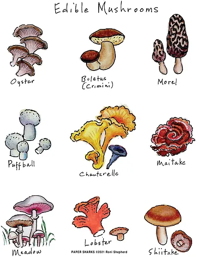 Mushrooms, Flour Sack Towel 