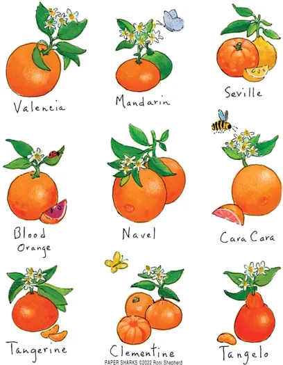 Oranges, Flower Sack Towels