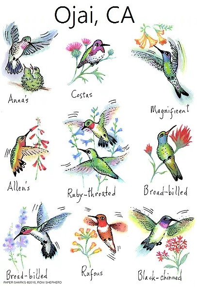 Hummingbird Flour Sack Towel 