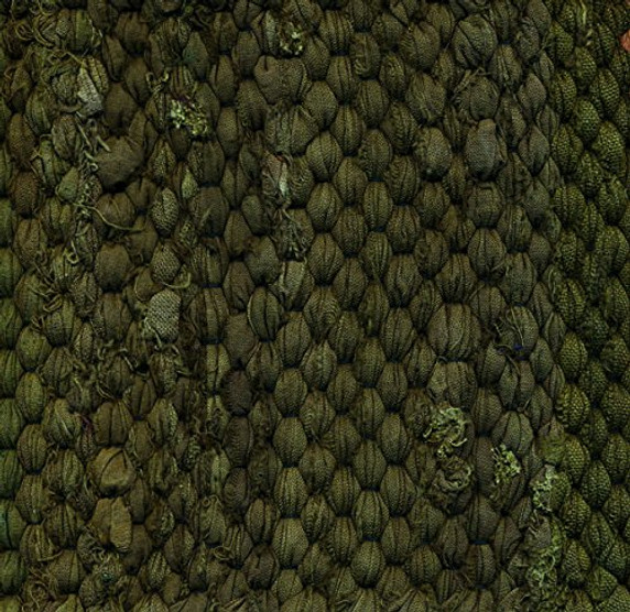 Foothill Oriental Rugs Cotton Rag Rug 3' x 5'