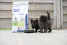 Kitten Pre Neutered – Granule pre mačiatka pred kastráciou
