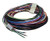 Loom G1 2ML