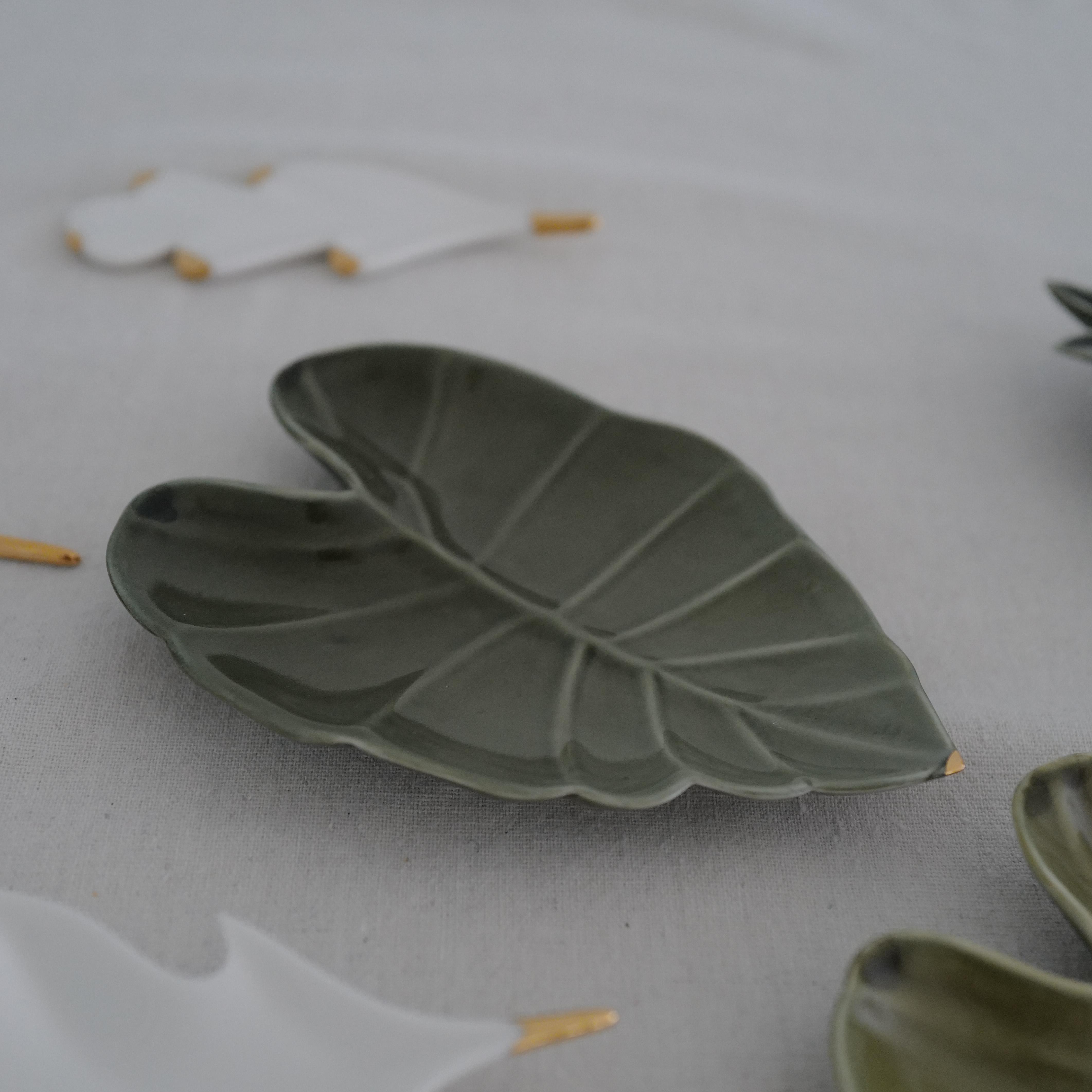 Alocasia plate