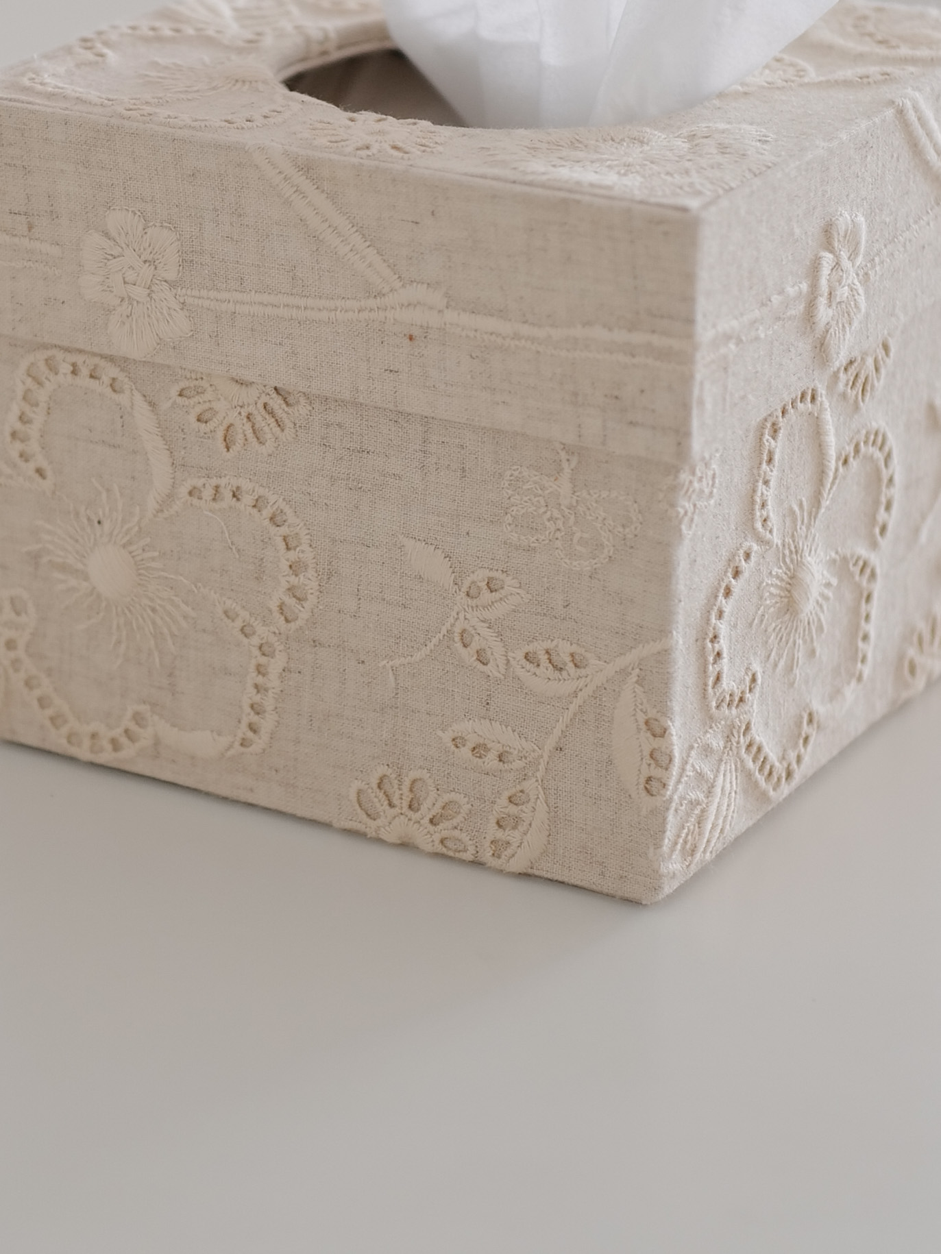 hacocco tissue case box
