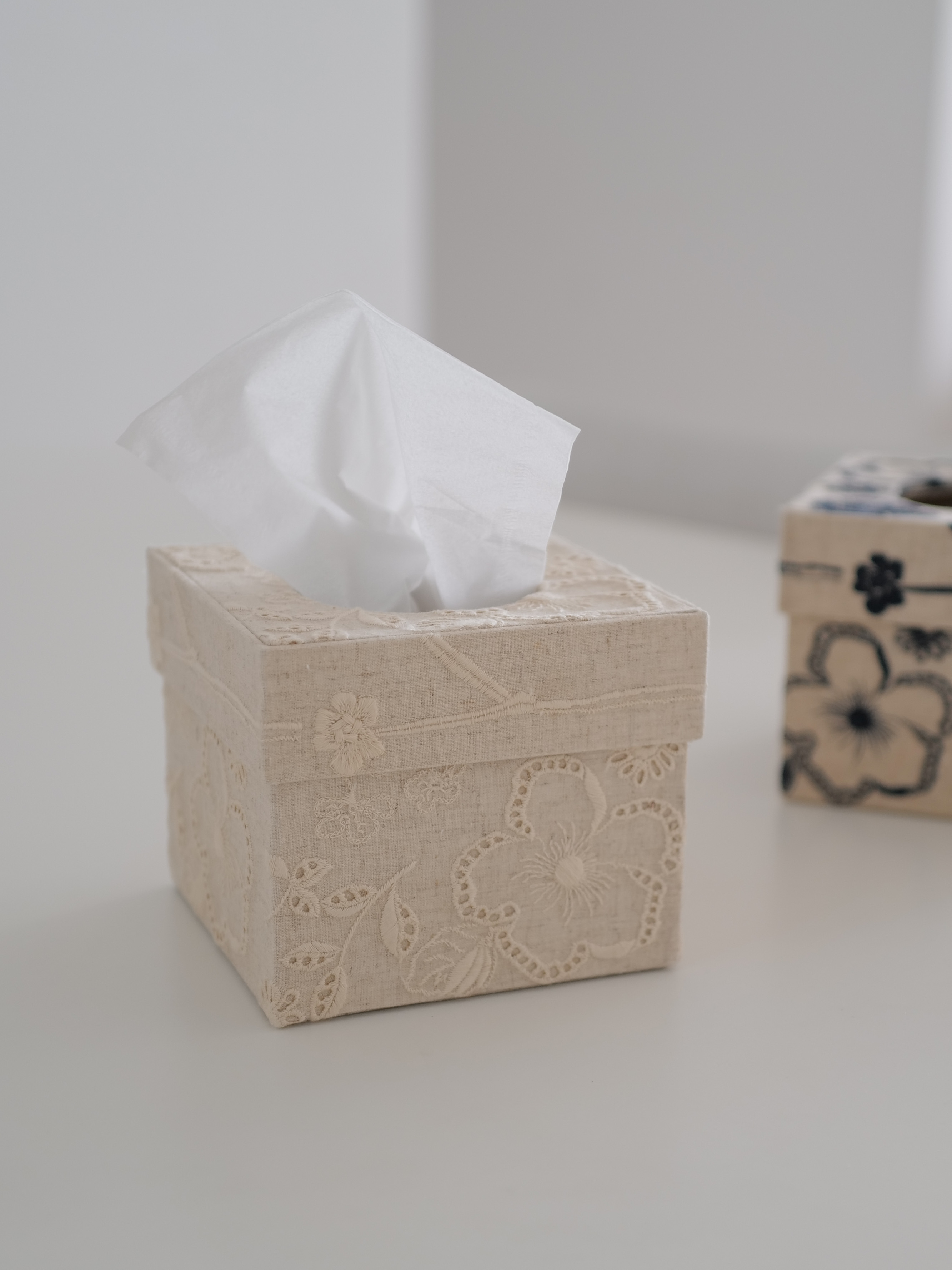 hacocco tissue case box
