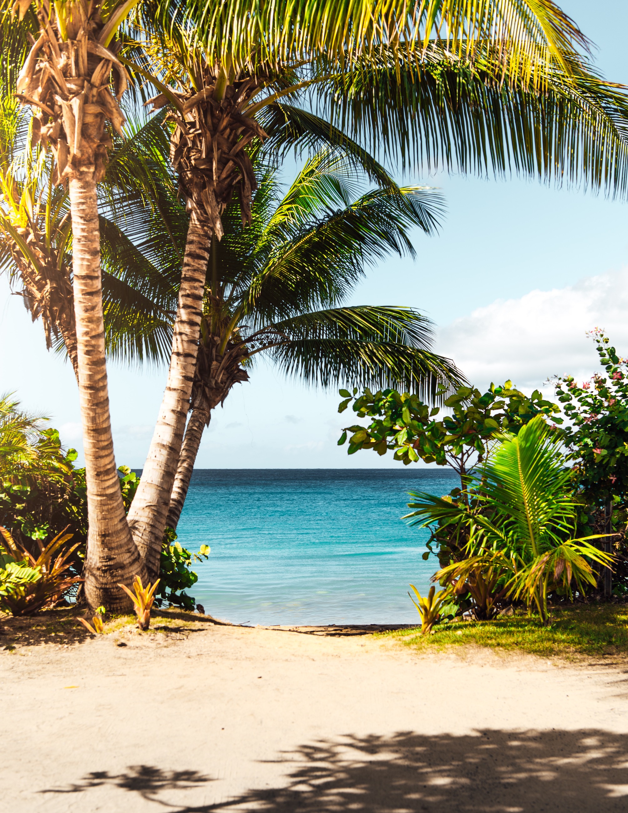 home-page-beach-picture.jpg