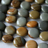 Wild Horse Picture Jasper 14mm Coin Beads - 16 inch strands