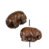 Carved Wood Focal Bead - 21x31mm Sandalwood Elephant with Leaf Ears, 1 per bag