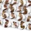 Cherry Tree Beads Handmade Lampwork Glass 15mm and 20mm White Heart Beads with Amethyst and Gold Foil Swirl - 8 inch strand 