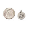 Cherry Tree Beads Natural Silver Stainless Steel 12mm Cancer Zodiac Charm with 4mm Open Jump Ring - 2 per bag 